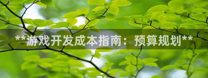 沐鸣娱乐2官方平台是什么