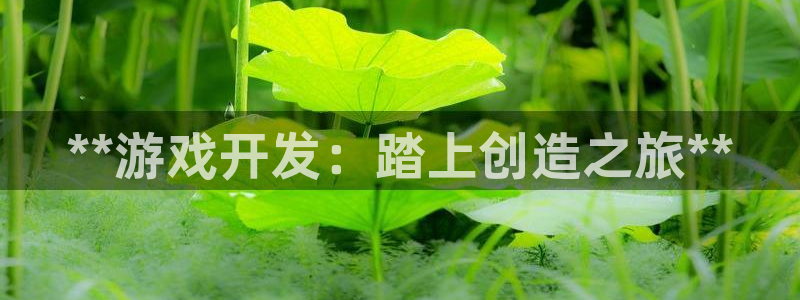 沐鸣2平台代理