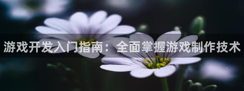 沐鸣娱乐2注册地址