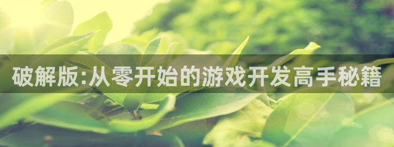 沐鸣娱乐2测速登陆：破解版:从零开始的游戏开发高手秘籍