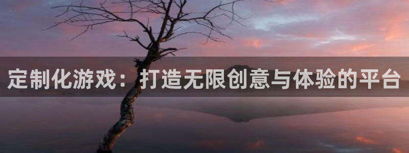 沐鸣娱乐2如何找回密码：定制化游戏：打造无限创意与体验的平台