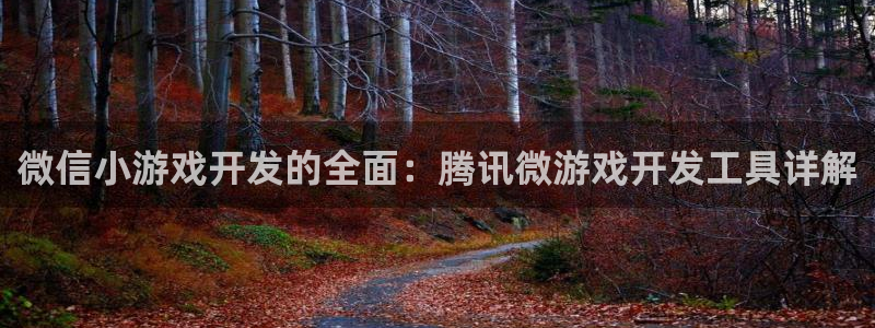 沐鸣2代理：微信小游戏开发的全面：腾讯微游戏开发工具详解