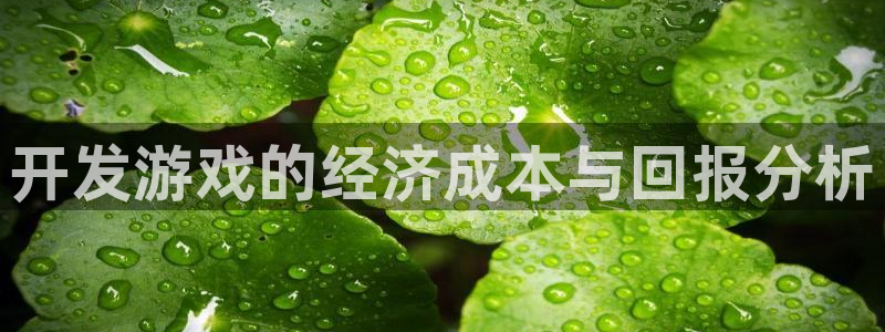 沐鸣2娱乐注册平台：开发游戏的经济成本与回报分析