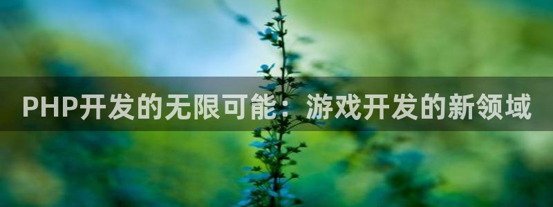 沐鸣2代理注册：PHP开发的无限可能：游戏开发的新领域