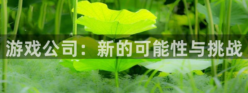 沐鸣娱乐2手机下载：游戏公司：新的可能性与挑战