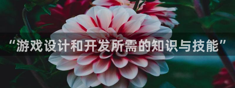 沐鸣娱乐2官网