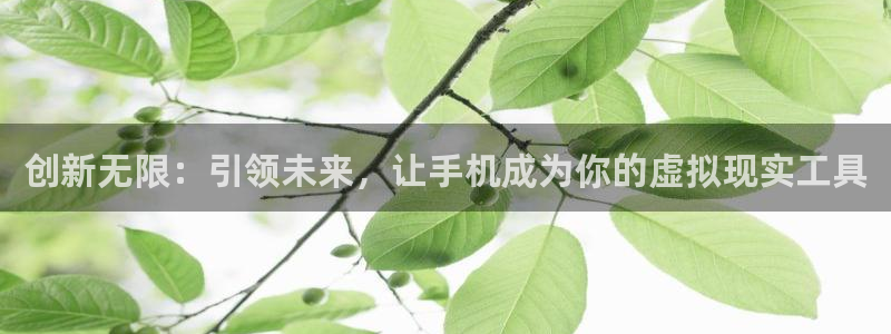 沐鸣2娱乐平台登录客服：创新无限：引领未来，让手机成为你的虚拟现实工具