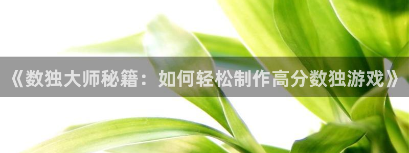 沐鸣娱乐2的分分彩：《数独大师秘籍：如何轻松制作高分数独游戏》