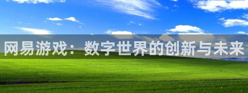 沐鸣2注册连接：网易游戏：数字世界的创新与未来