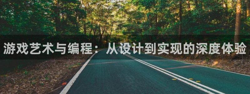 沐鸣娱乐臼44262：游戏艺术与编程：从设计到实现的深度体验