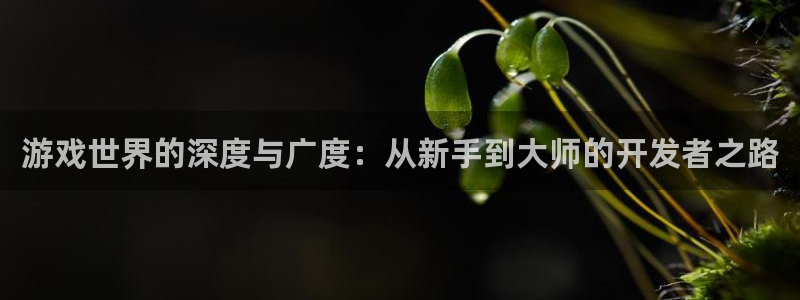 沐鸣2平台登录线路：游戏世界的深度与广度：从新手到大师的开发者之路