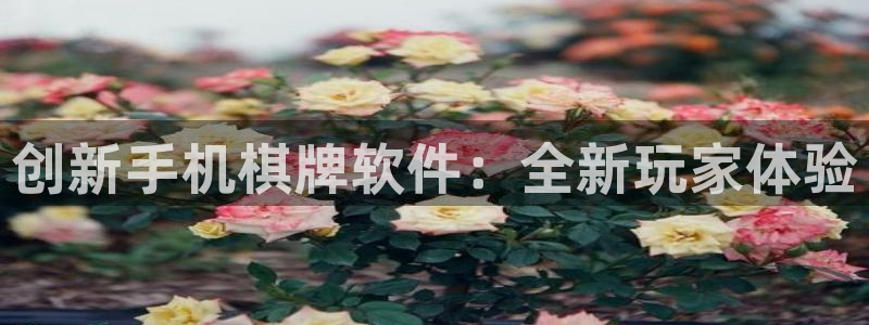 沐鸣娱乐臼44262：创新手机棋牌软件：全新玩家体验