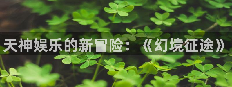 沐鸣2平台测速：天神娱乐的新冒险：《幻境征途》
