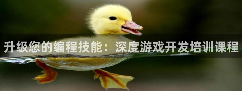 沐鸣2开户：升级您的编程技能：深度游戏开发培训课程