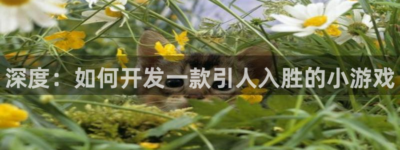 沐鸣2注册登录地址：深度：如何开发一款引人入胜的小游戏