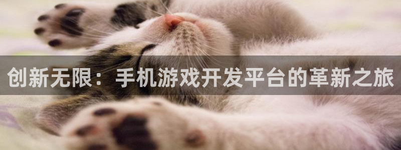 首页沐鸣2注册官网：创新无限：手机游戏开发平台的革新之旅