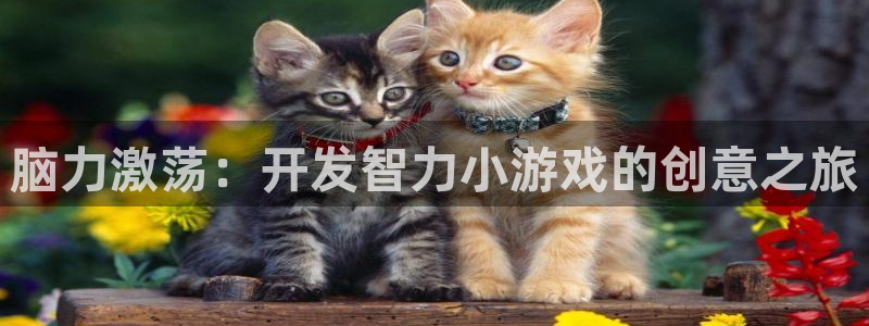 沐鸣娱乐2：脑力激荡：开发智力小游戏的创意之旅